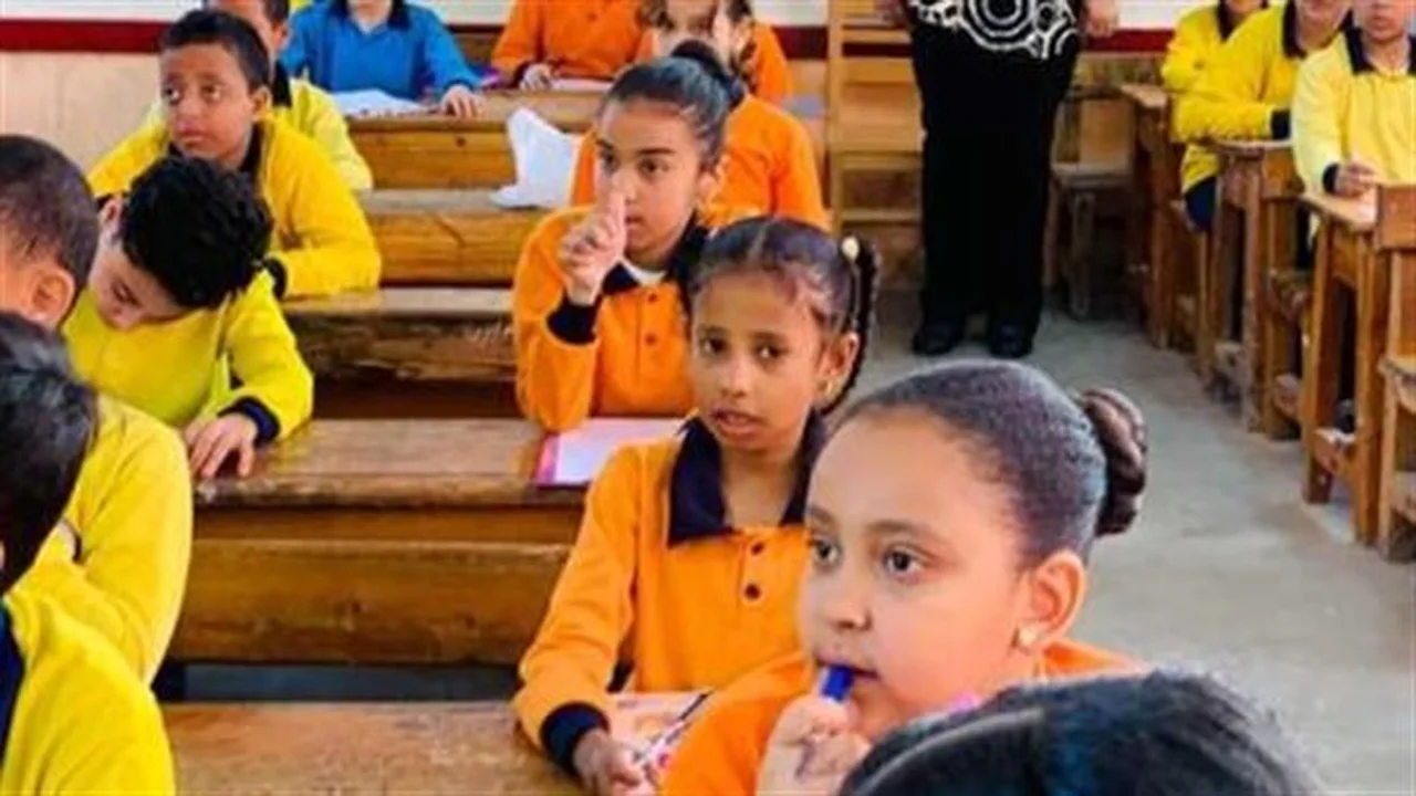 بوابة التعليم الأساسي.. نتيجة الشهادة الابتدائية متاحة عبر موقع وزارة التربية والتعليم